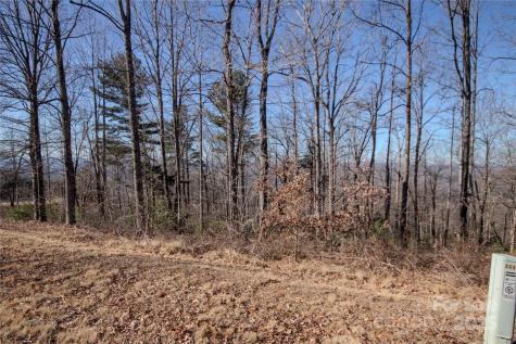 2220 Nighthawk Ridge Court Lenoir NC 28645