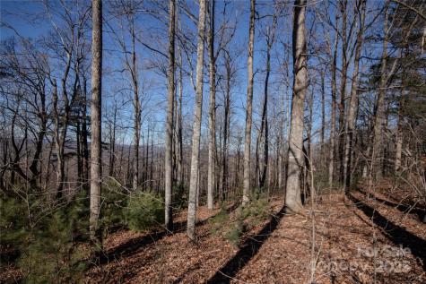 2220 Nighthawk Ridge Court Lenoir NC 28645
