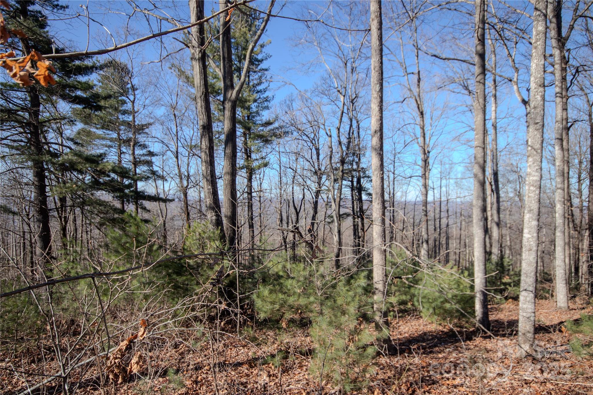 2220 Nighthawk Ridge Court Lenoir NC 28645