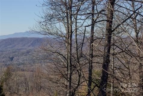 2220 Nighthawk Ridge Court Lenoir NC 28645
