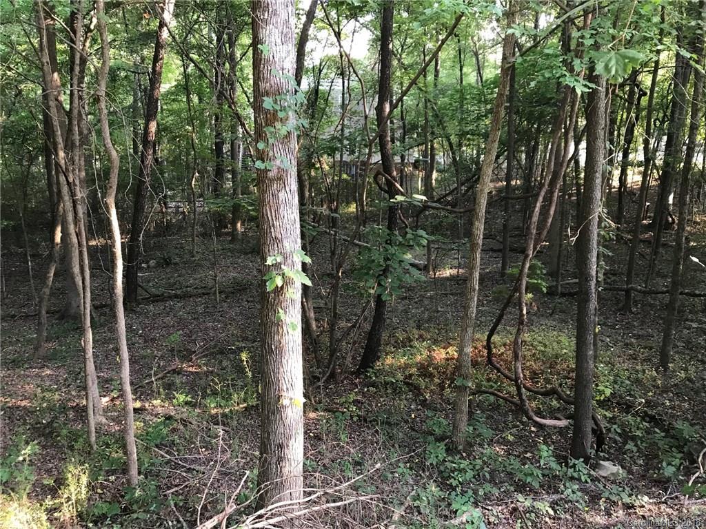 10221 Hanging Moss Trail Mint Hill NC 28227