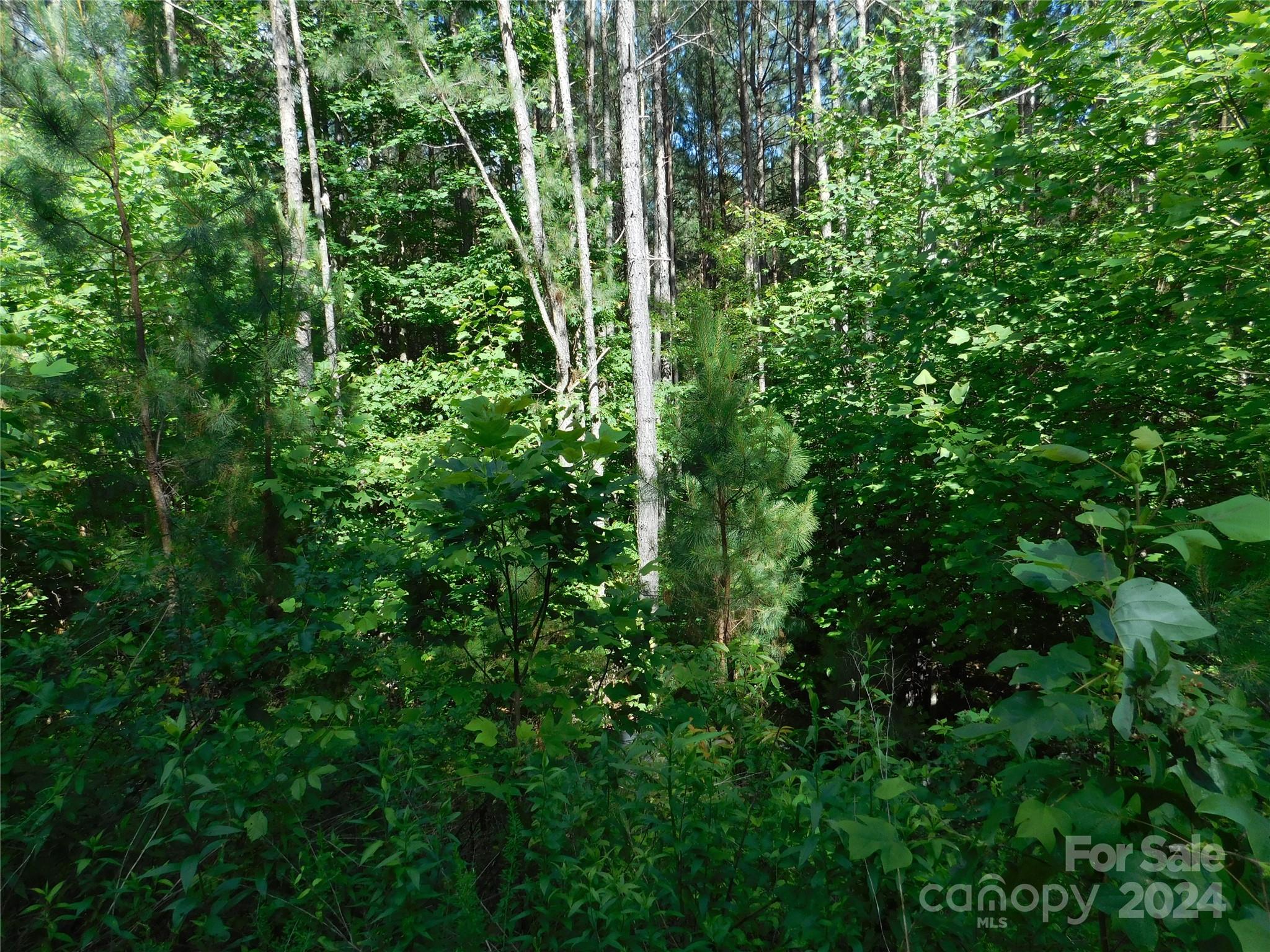 207 W Settings Boulevard NW Valdese NC 28690