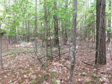 207 W Settings Boulevard NW Valdese NC 28690