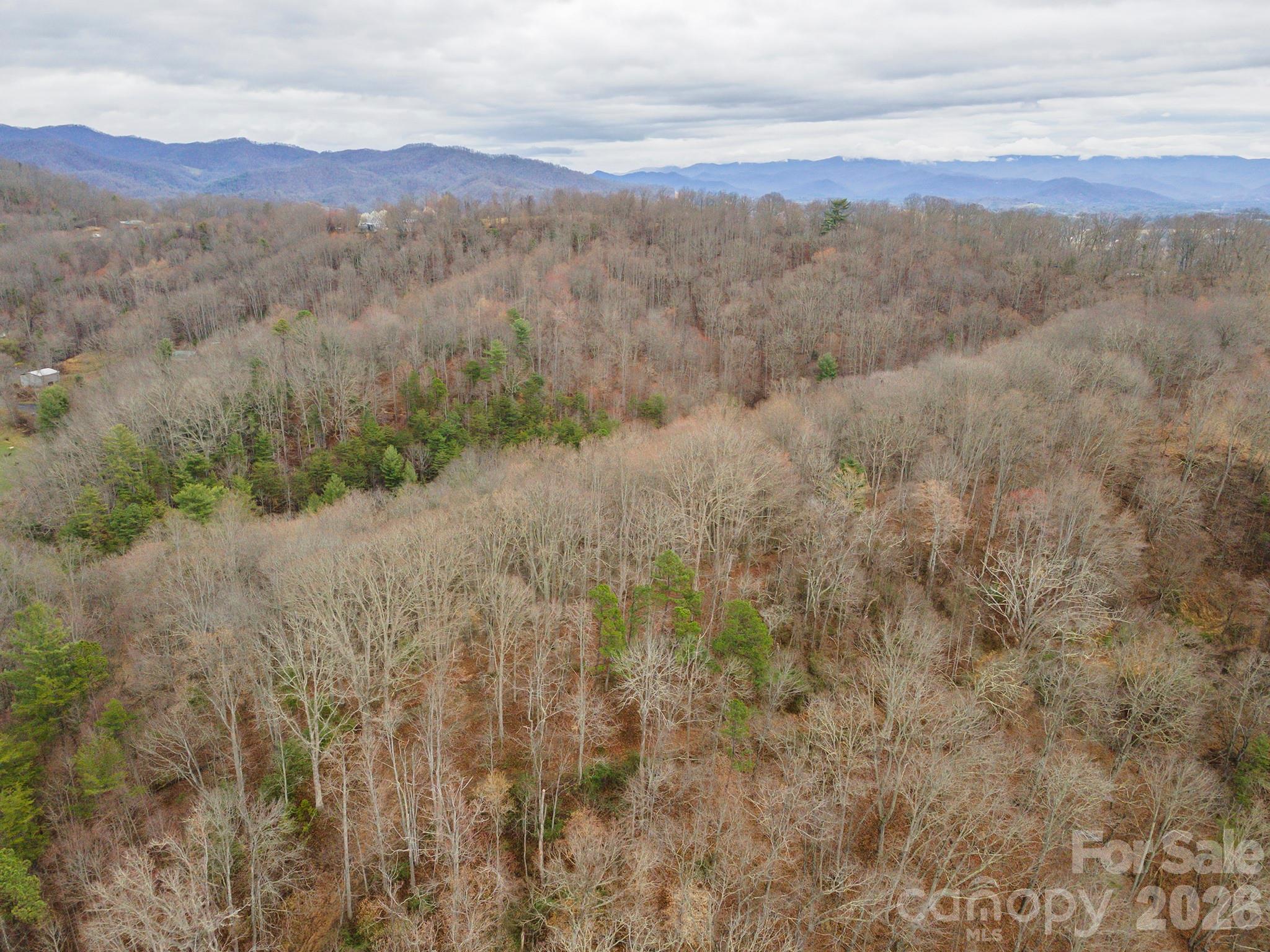 1974 Ammons Branch Road Marshall NC 28753