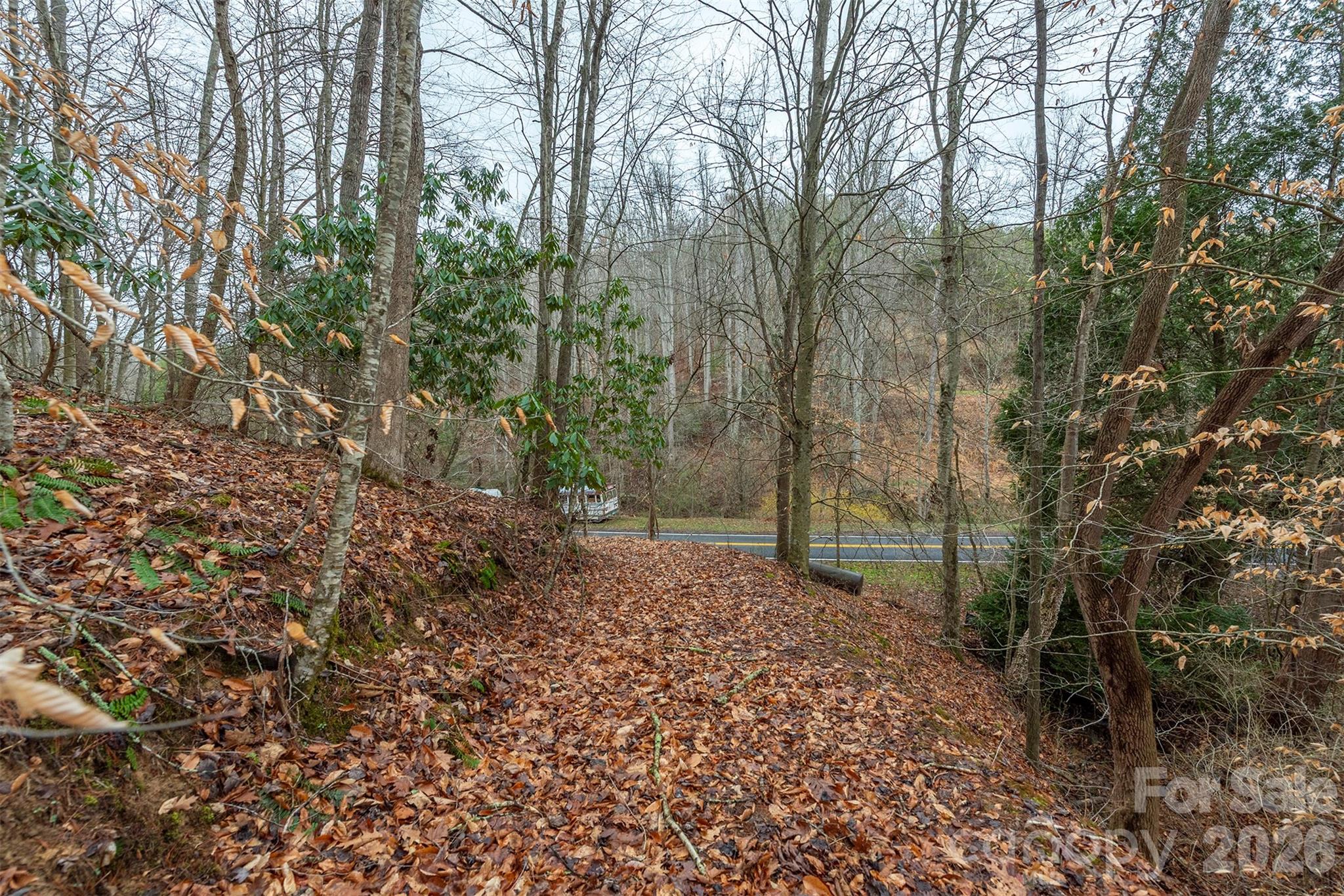 1974 Ammons Branch Road Marshall NC 28753