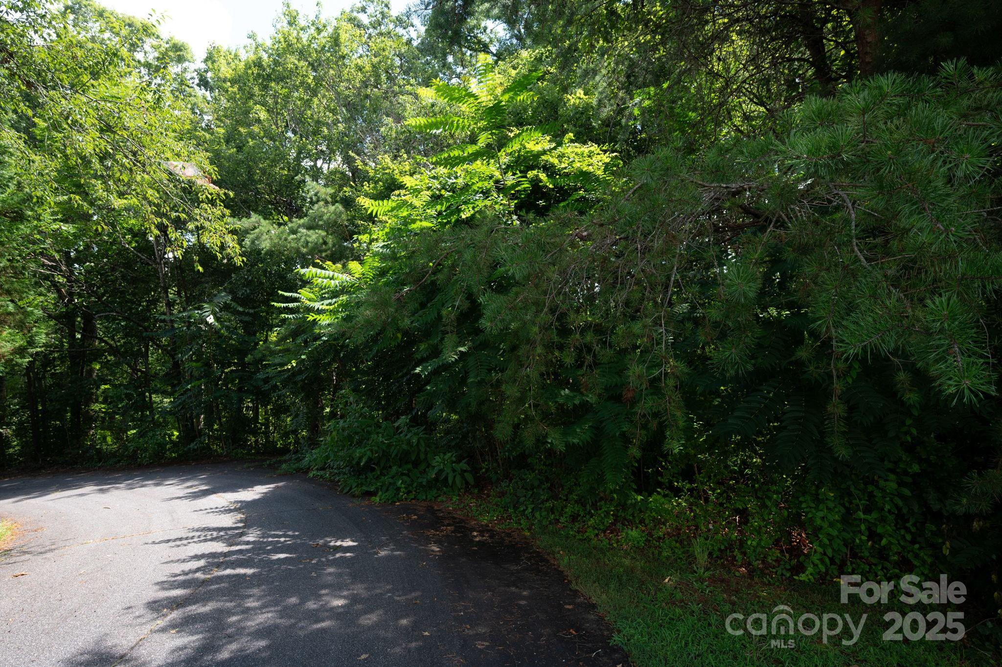 Lot 20 Line Drive Forest City NC 28043
