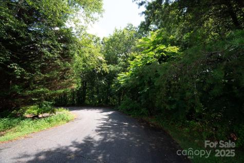 Lot 20 Line Drive Forest City NC 28043