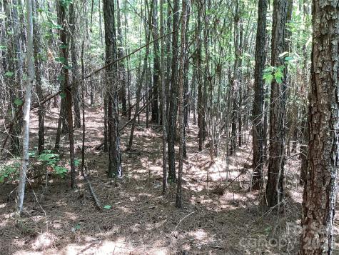 00 Powell Road Mill Spring NC 28756