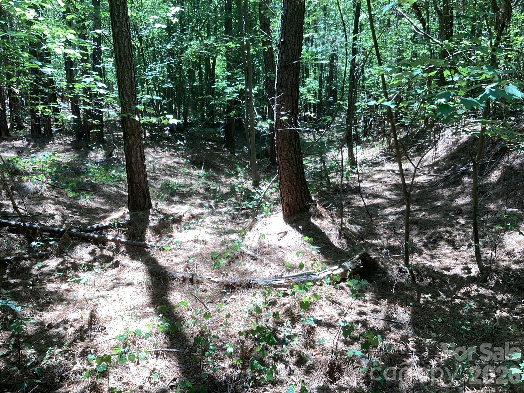 00 Powell Road Mill Spring NC 28756