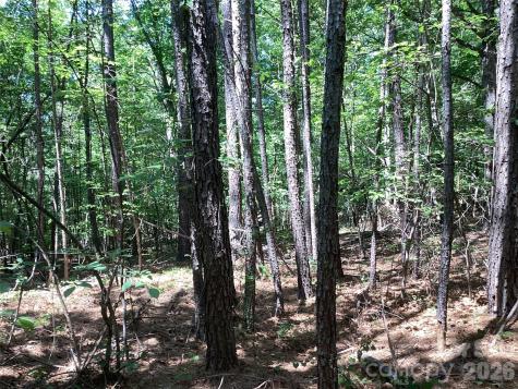 00 Powell Road Mill Spring NC 28756