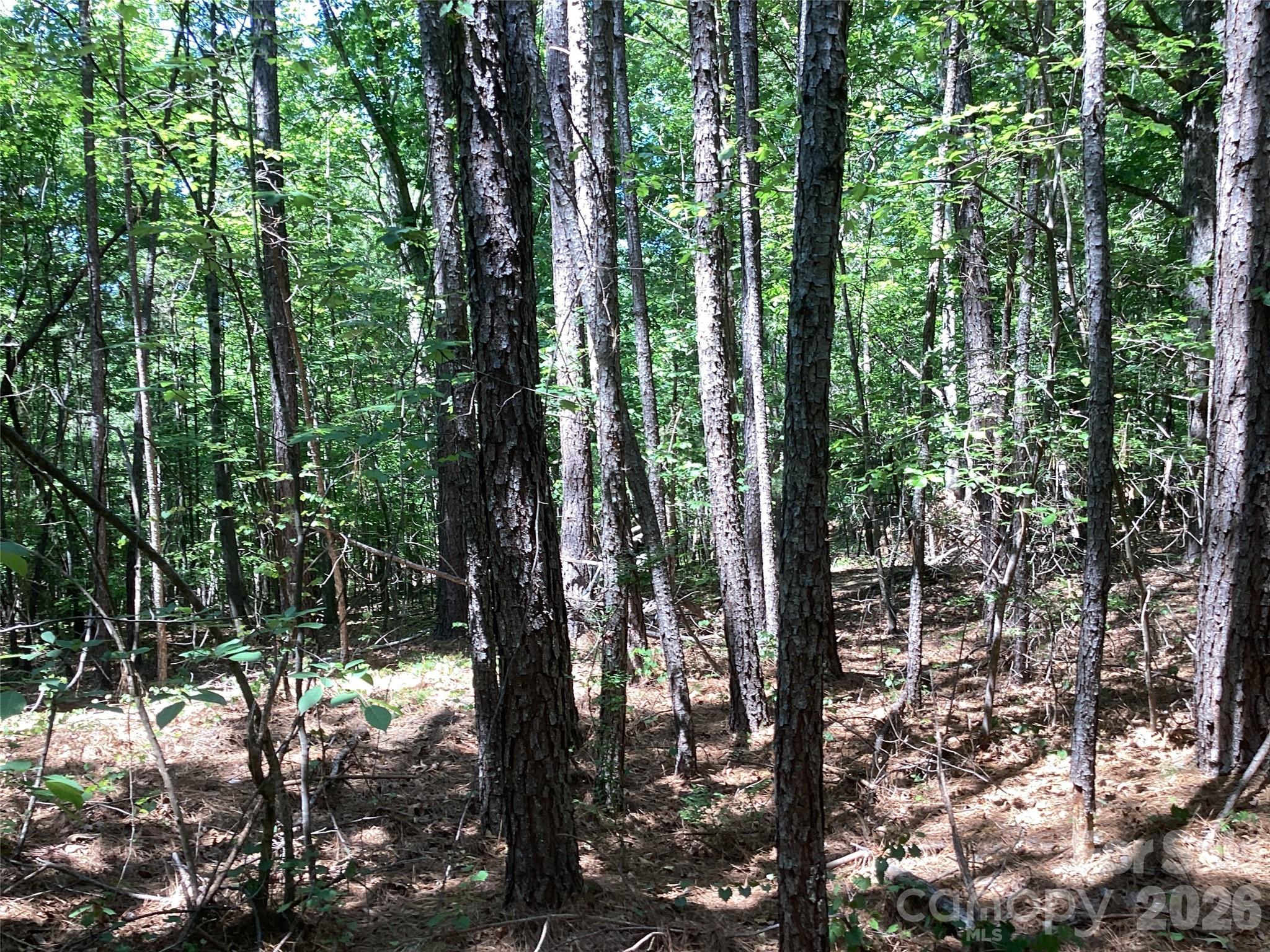 00 Powell Road Mill Spring NC 28756