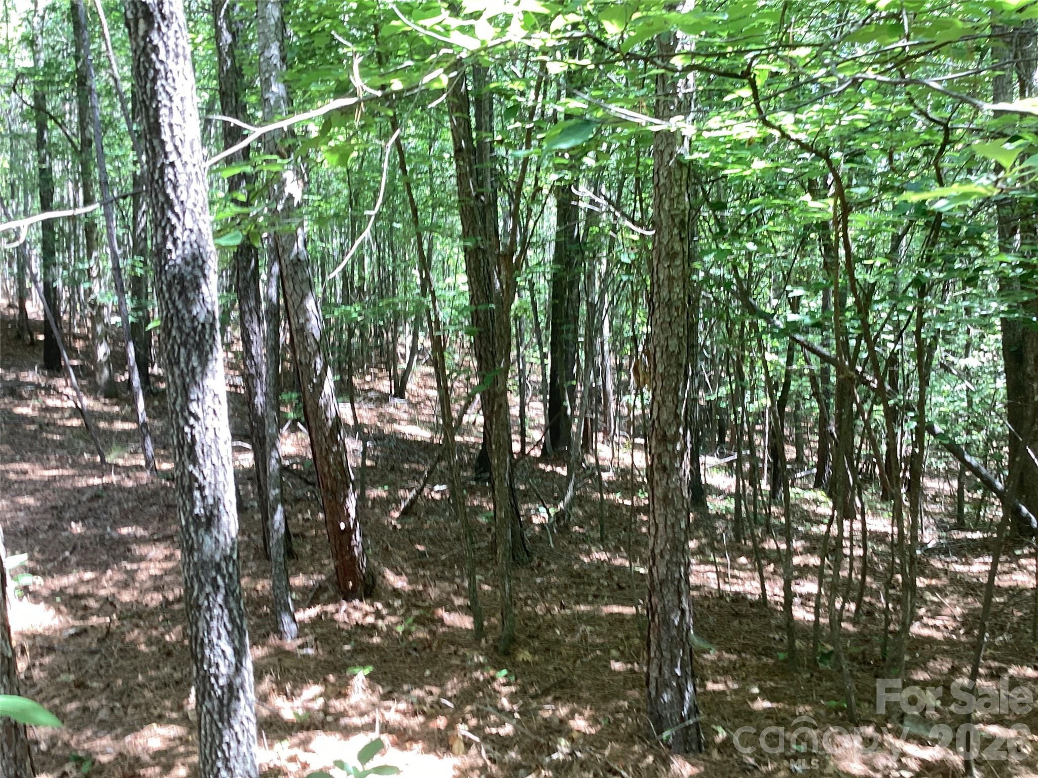 00 Powell Road Mill Spring NC 28756