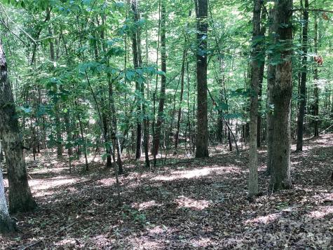00 Powell Road Mill Spring NC 28756