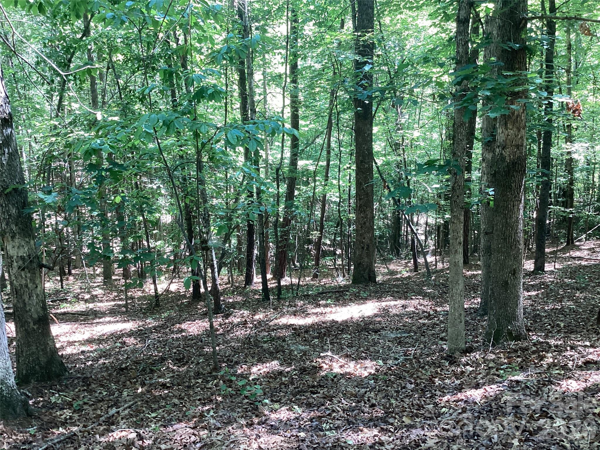 00 Powell Road Mill Spring NC 28756