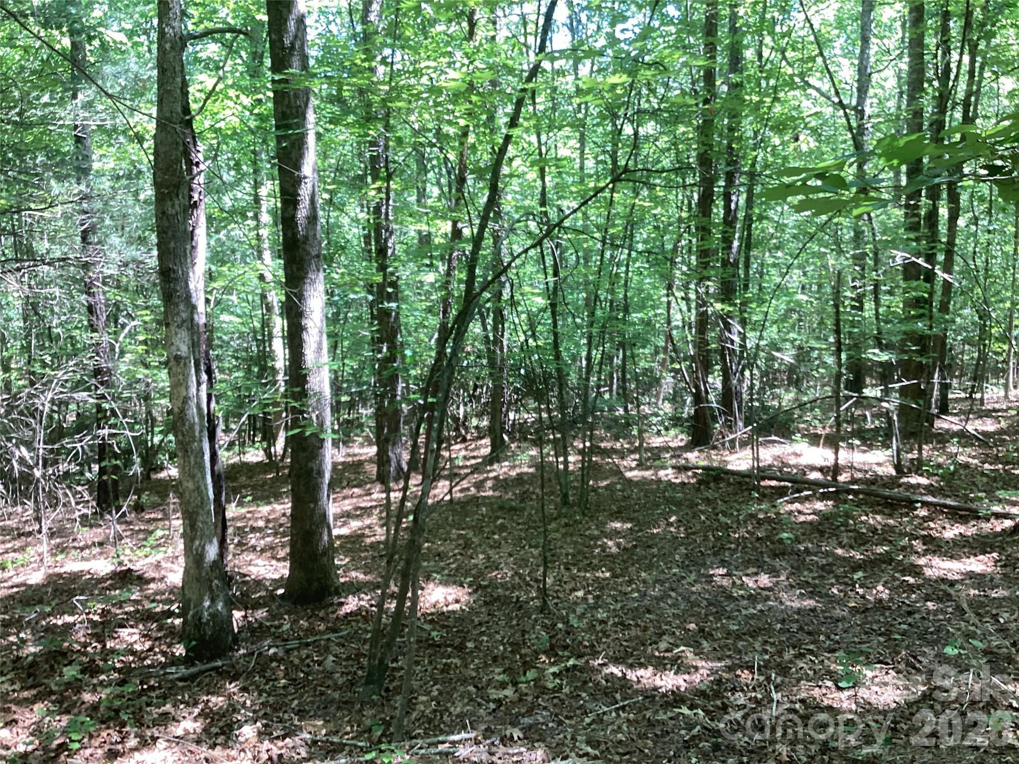 00 Powell Road Mill Spring NC 28756