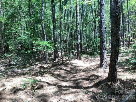 00 Powell Road Mill Spring NC 28756