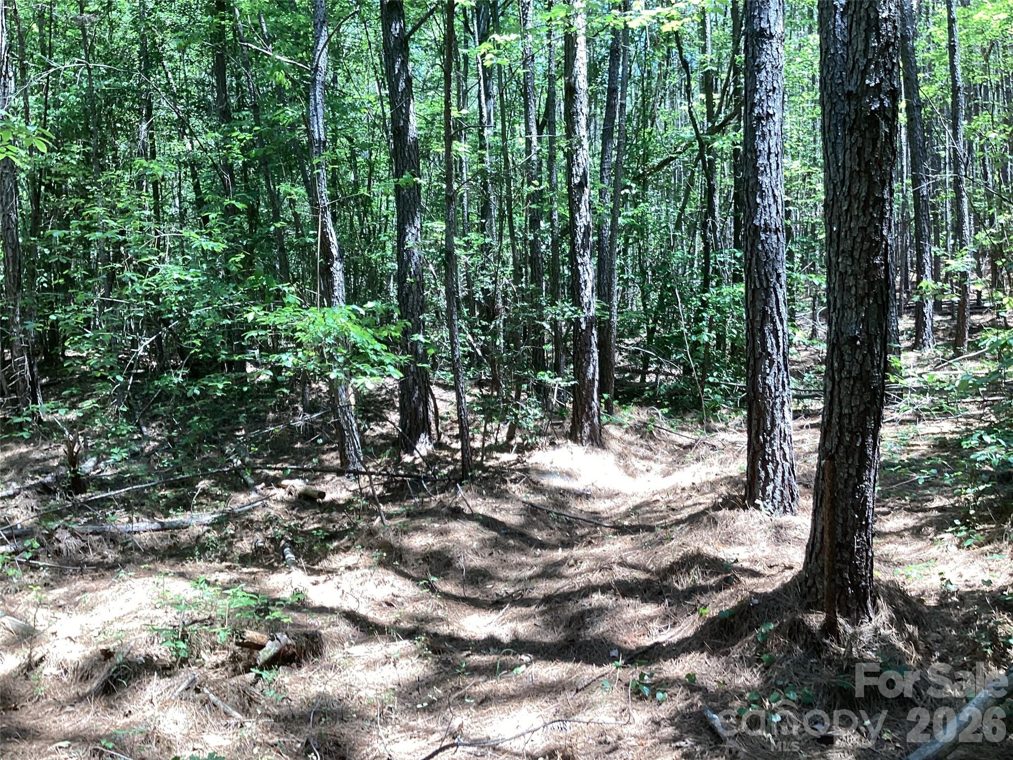 00 Powell Road Mill Spring NC 28756