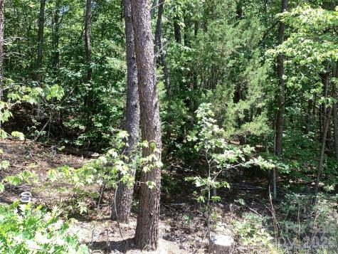 00 Powell Road Mill Spring NC 28756