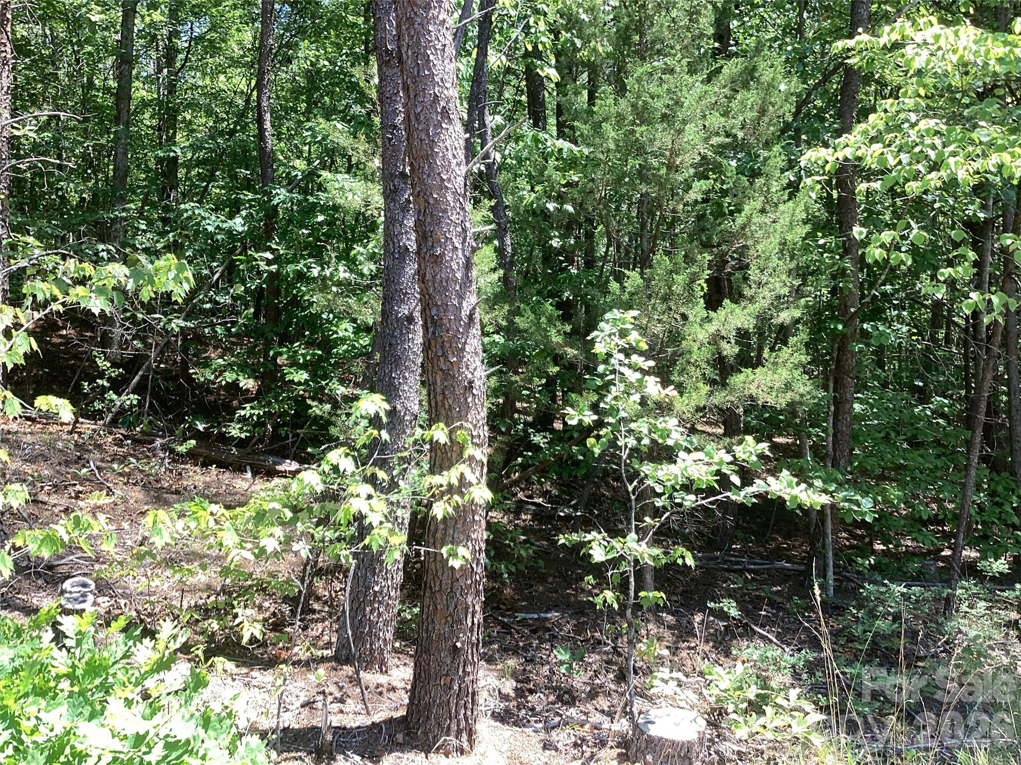 00 Powell Road Mill Spring NC 28756