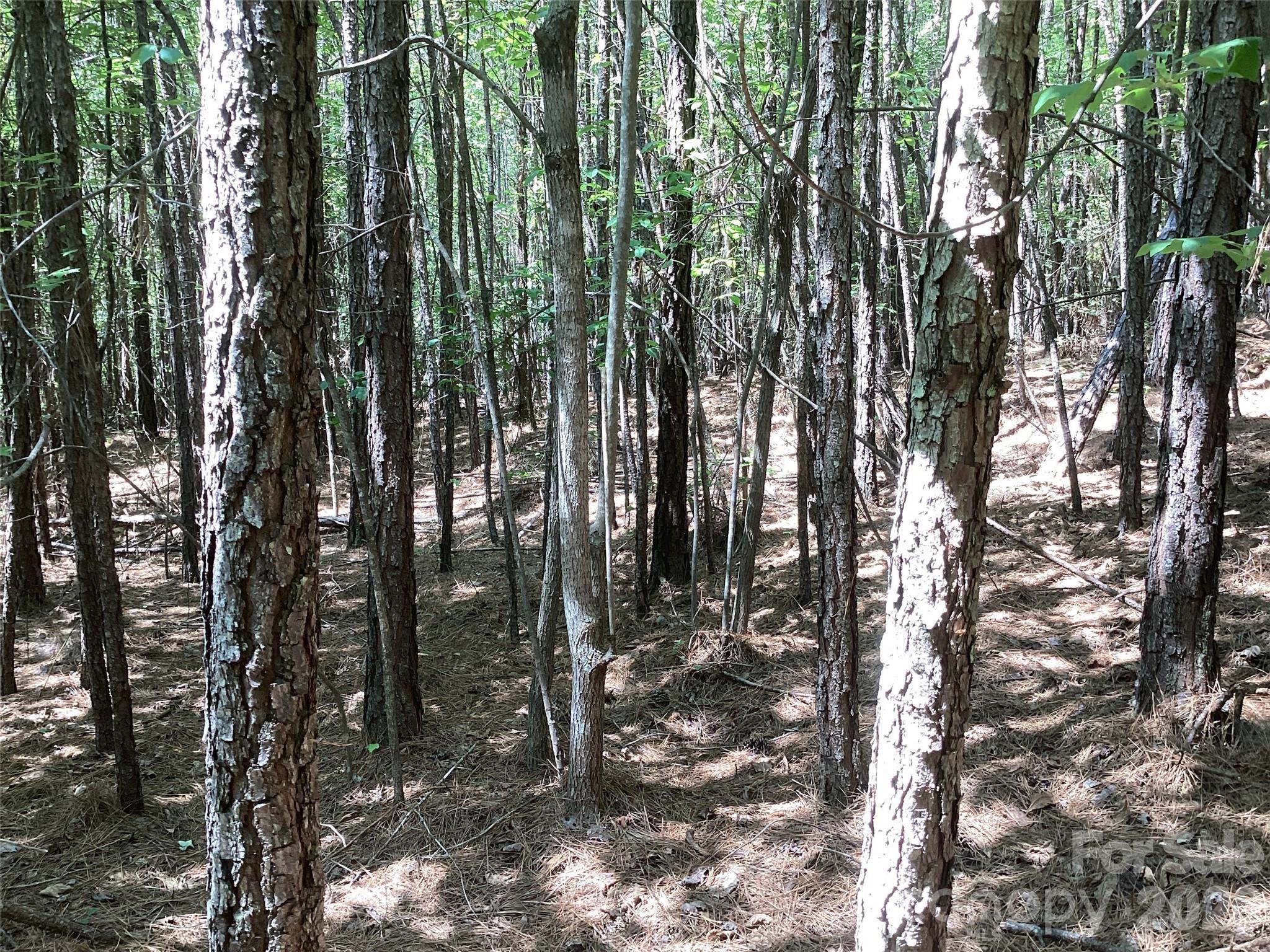 00 Powell Road Mill Spring NC 28756