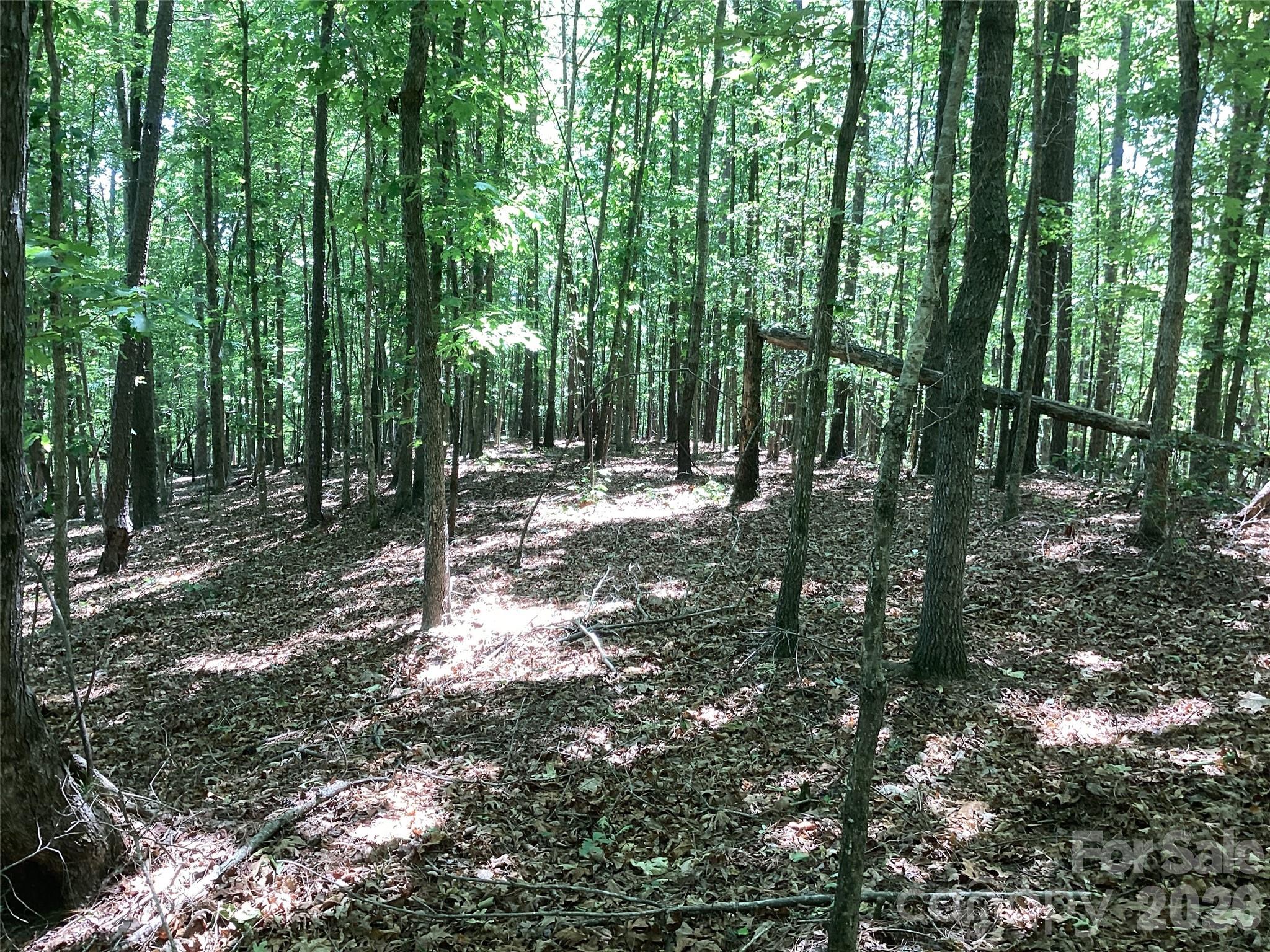 00 Powell Road Mill Spring NC 28756