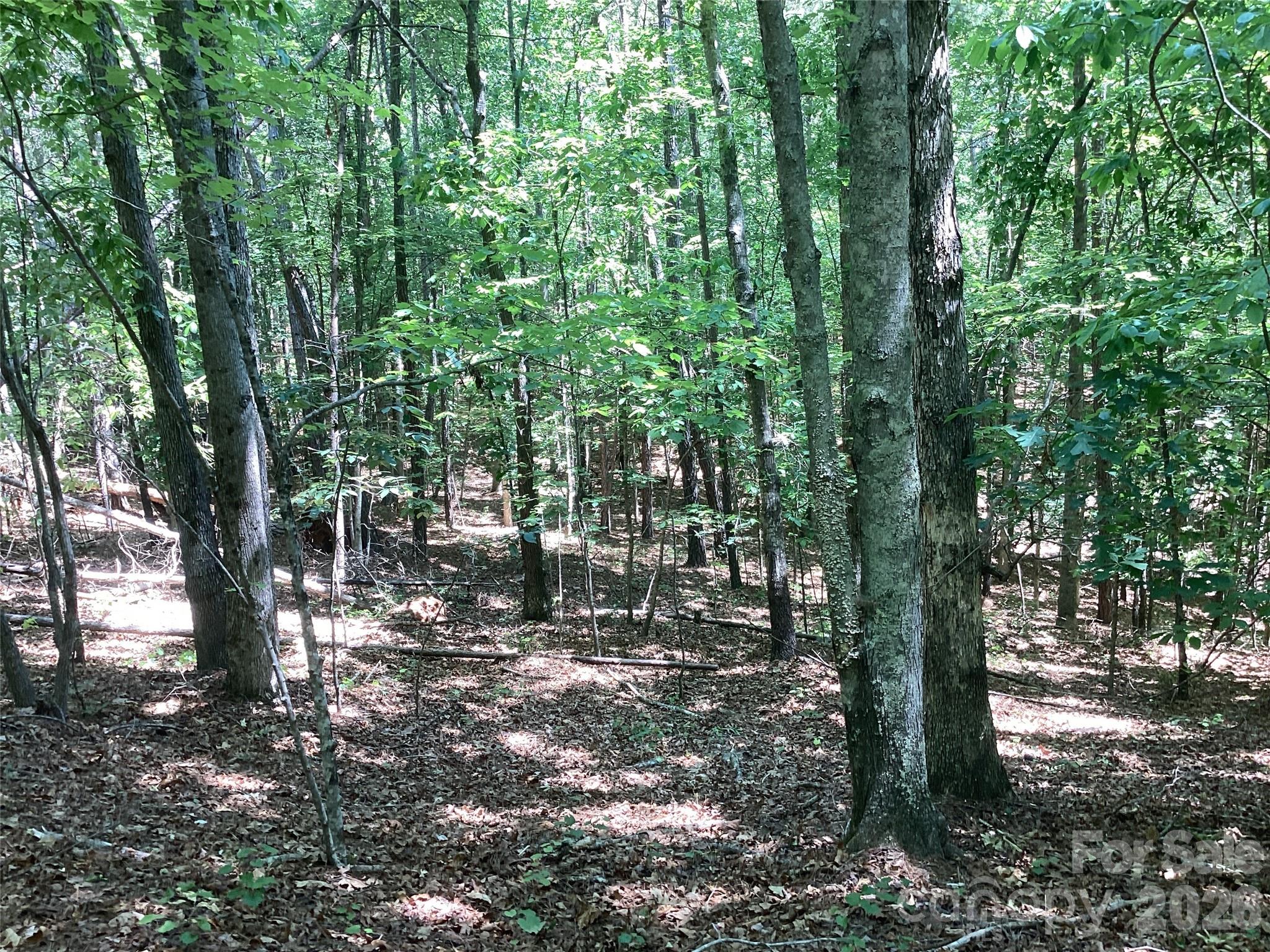 00 Powell Road Mill Spring NC 28756