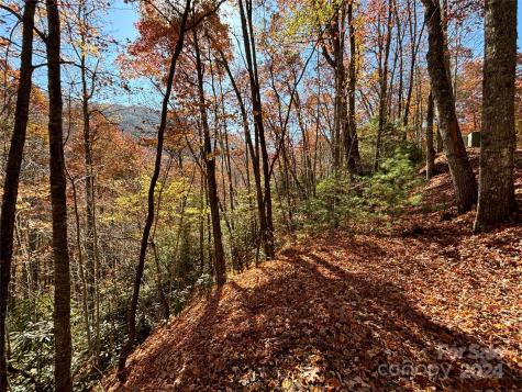 Lot 33 Coppermine Ridge Whittier NC 28789