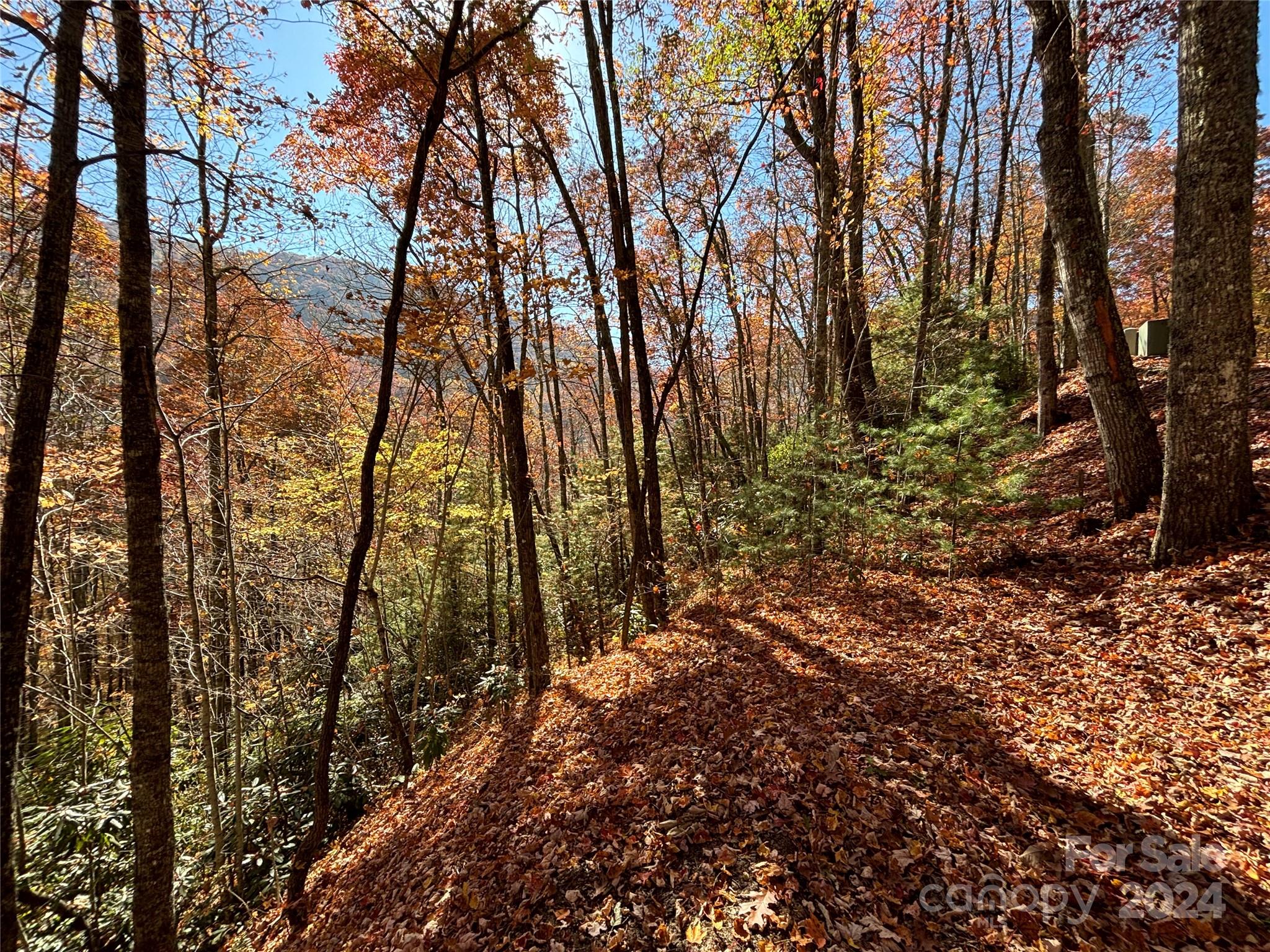 Lot 33 Coppermine Ridge Whittier NC 28789