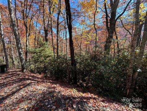 Lot 33 Coppermine Ridge Whittier NC 28789