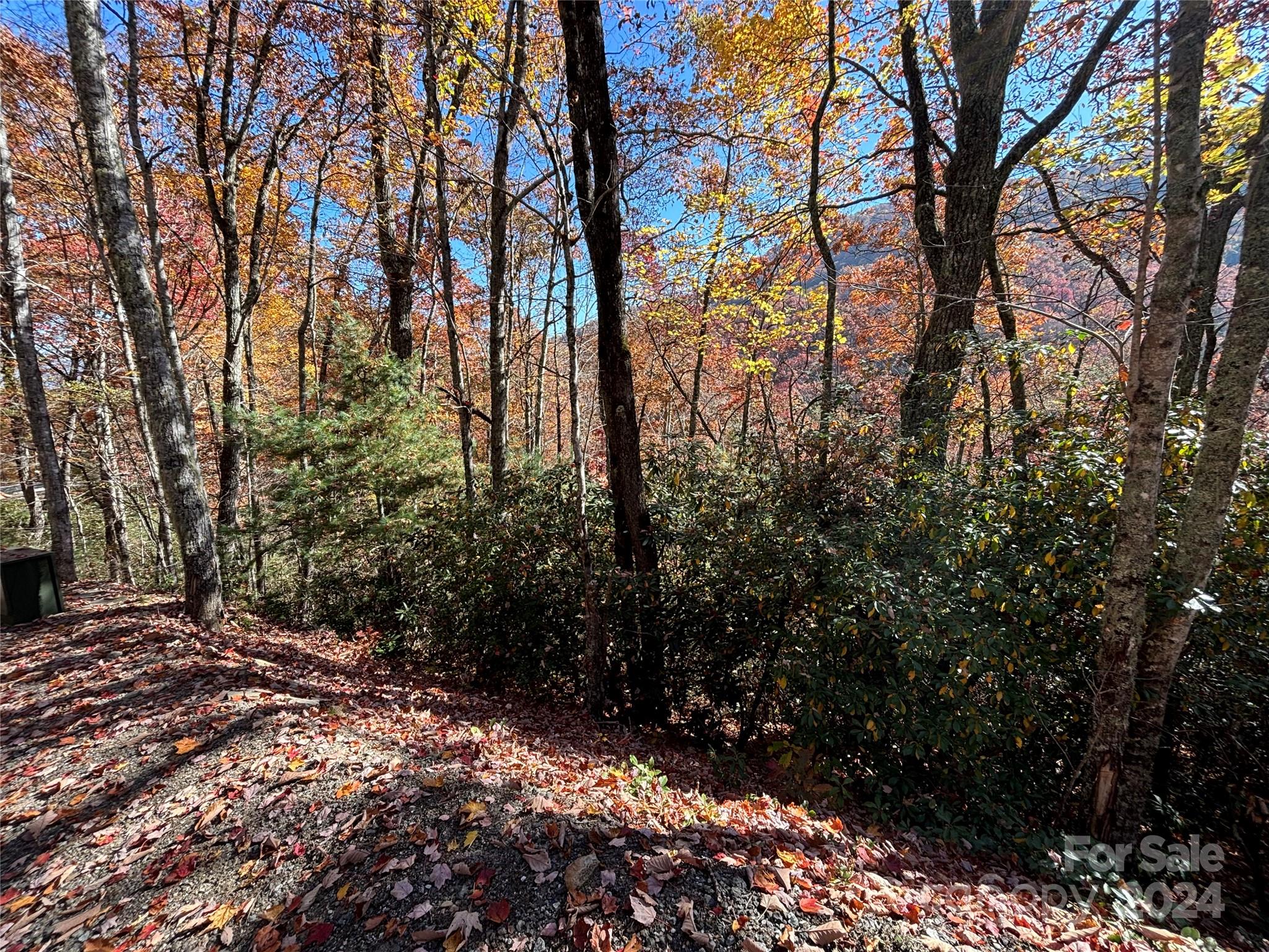 Lot 33 Coppermine Ridge Whittier NC 28789