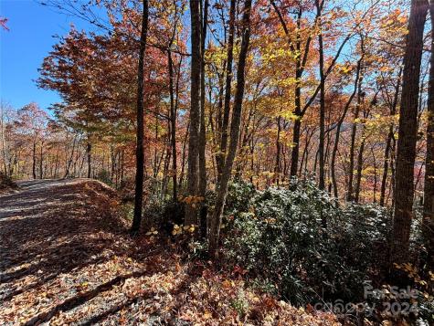 Lot 33 Coppermine Ridge Whittier NC 28789
