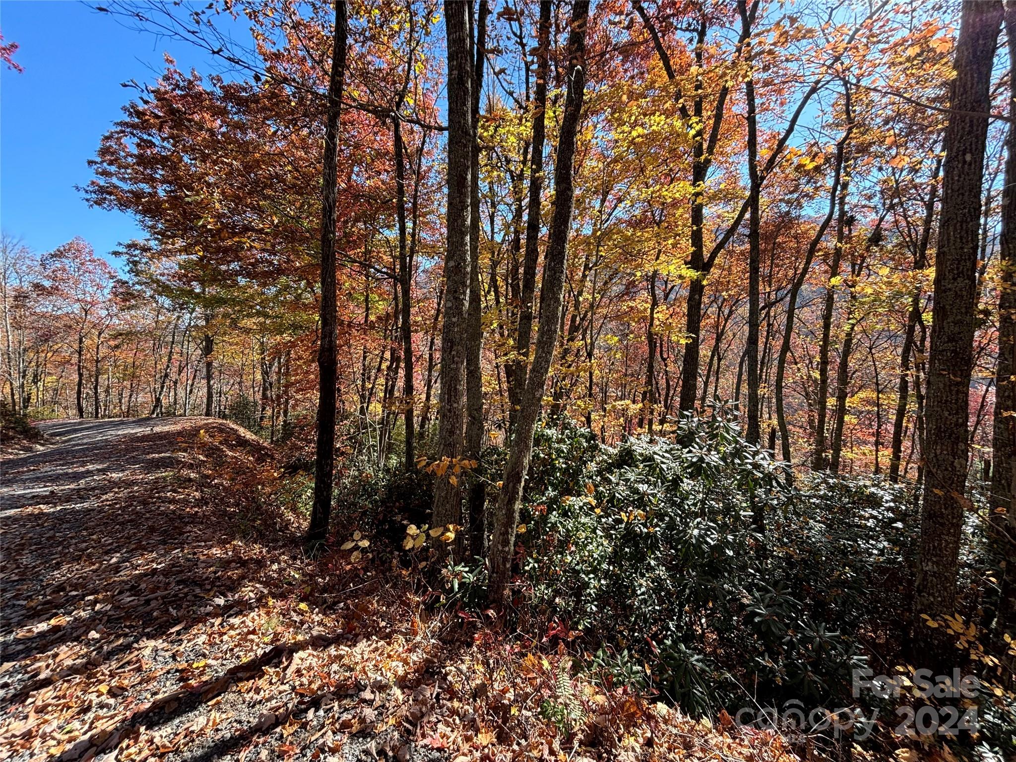 Lot 33 Coppermine Ridge Whittier NC 28789
