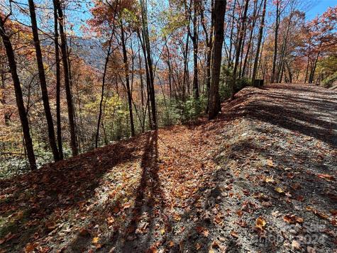 Lot 33 Coppermine Ridge Whittier NC 28789