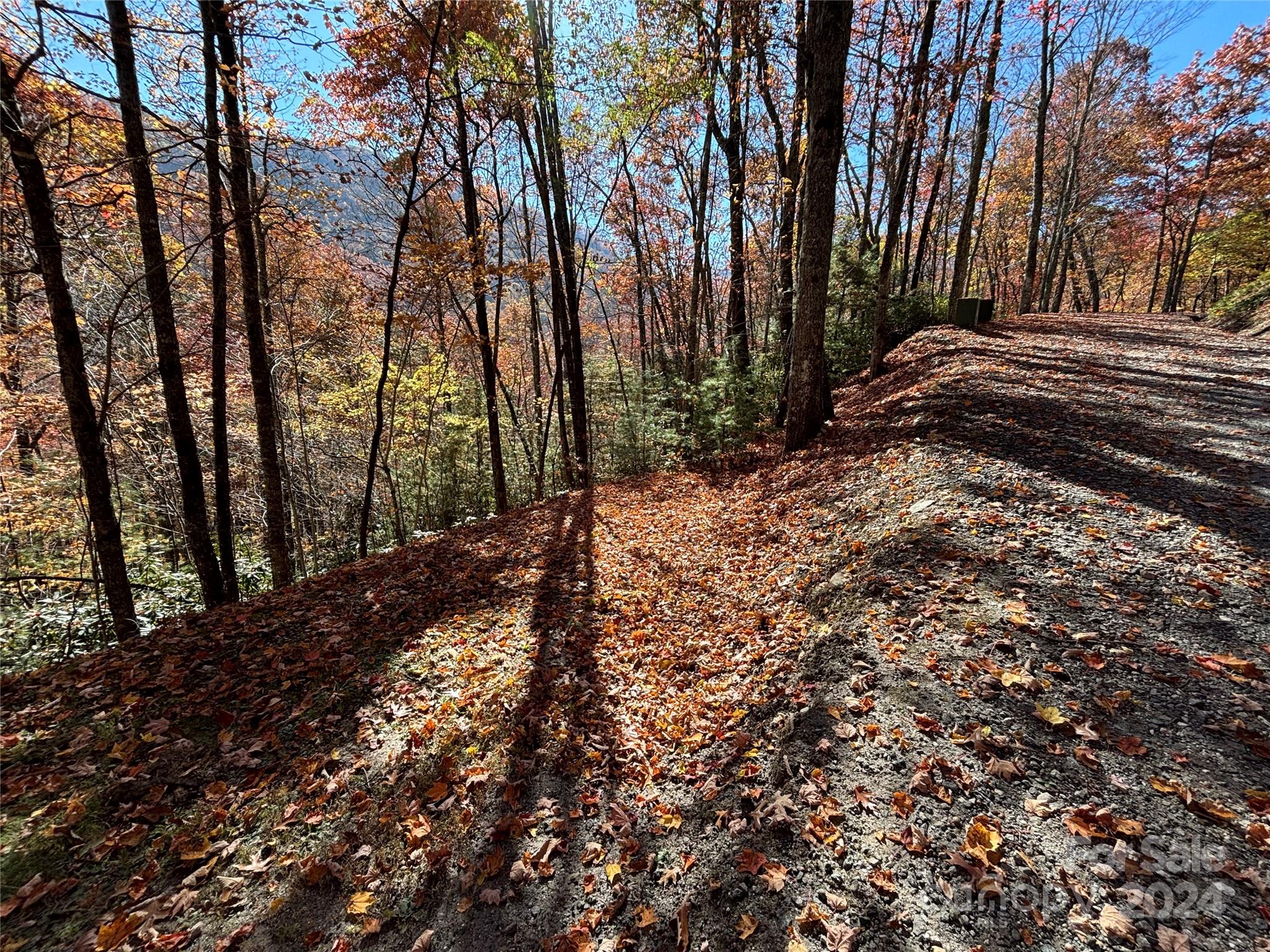 Lot 33 Coppermine Ridge Whittier NC 28789