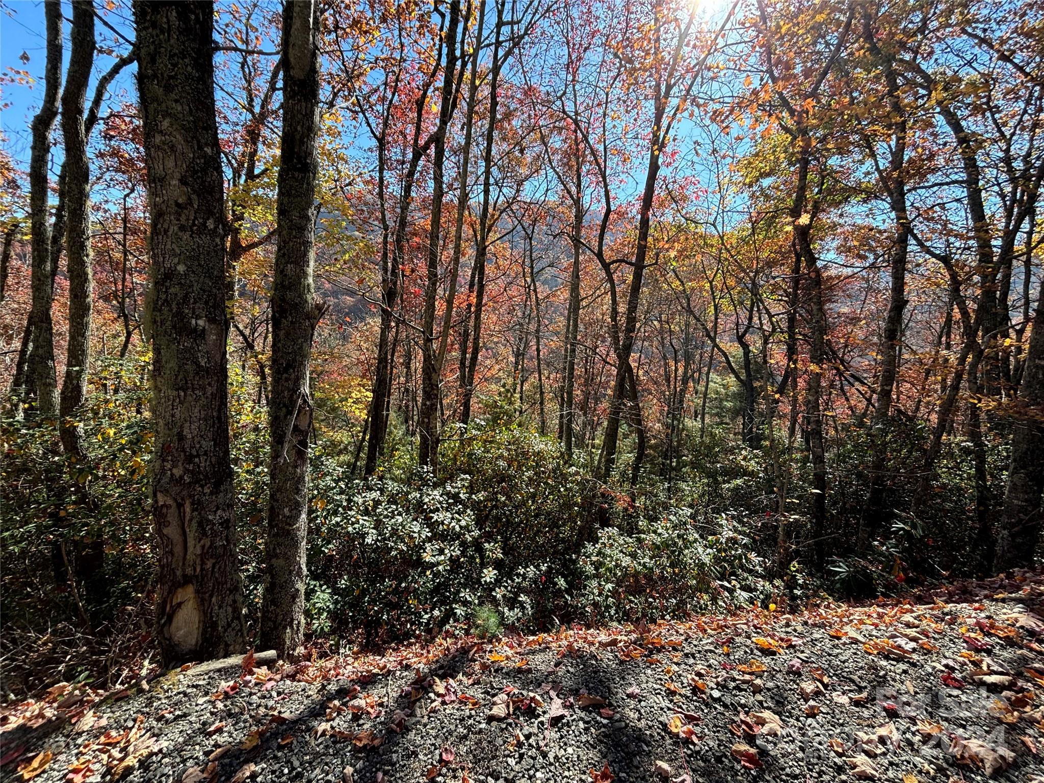 Lot 33 Coppermine Ridge Whittier NC 28789