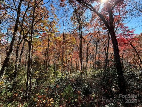 Lot 33 Coppermine Ridge Whittier NC 28789
