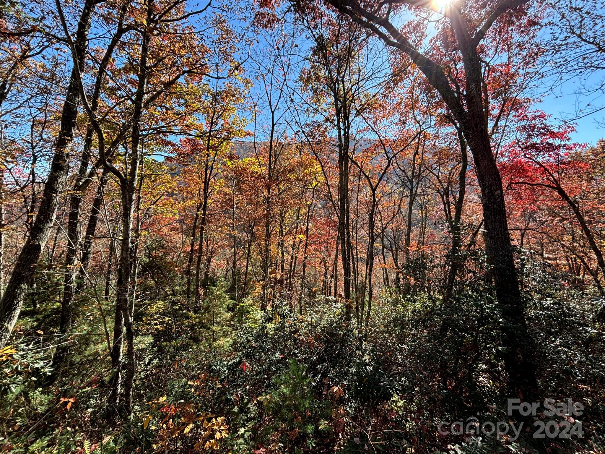 Lot 33 Coppermine Ridge Whittier NC 28789