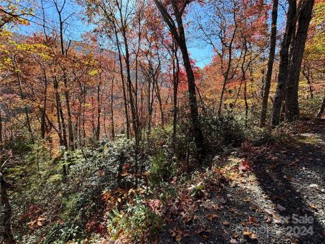 Lot 33 Coppermine Ridge Whittier NC 28789