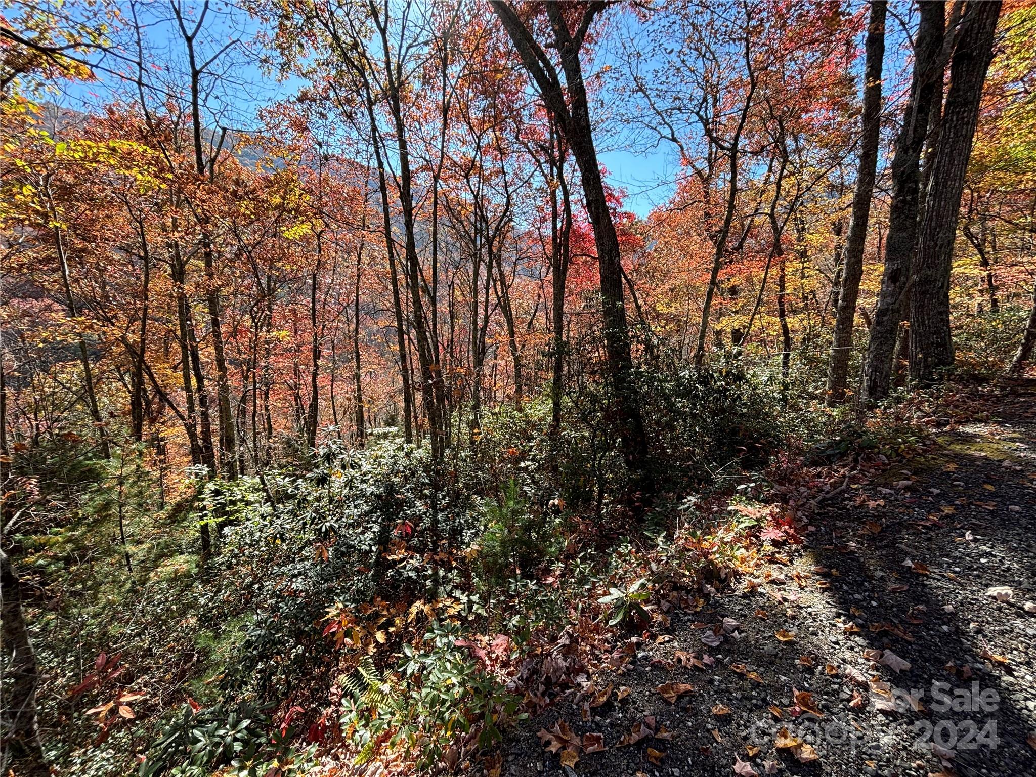Lot 33 Coppermine Ridge Whittier NC 28789