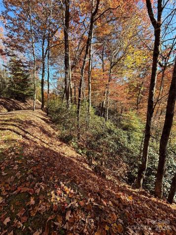 Lot 33 Coppermine Ridge Whittier NC 28789