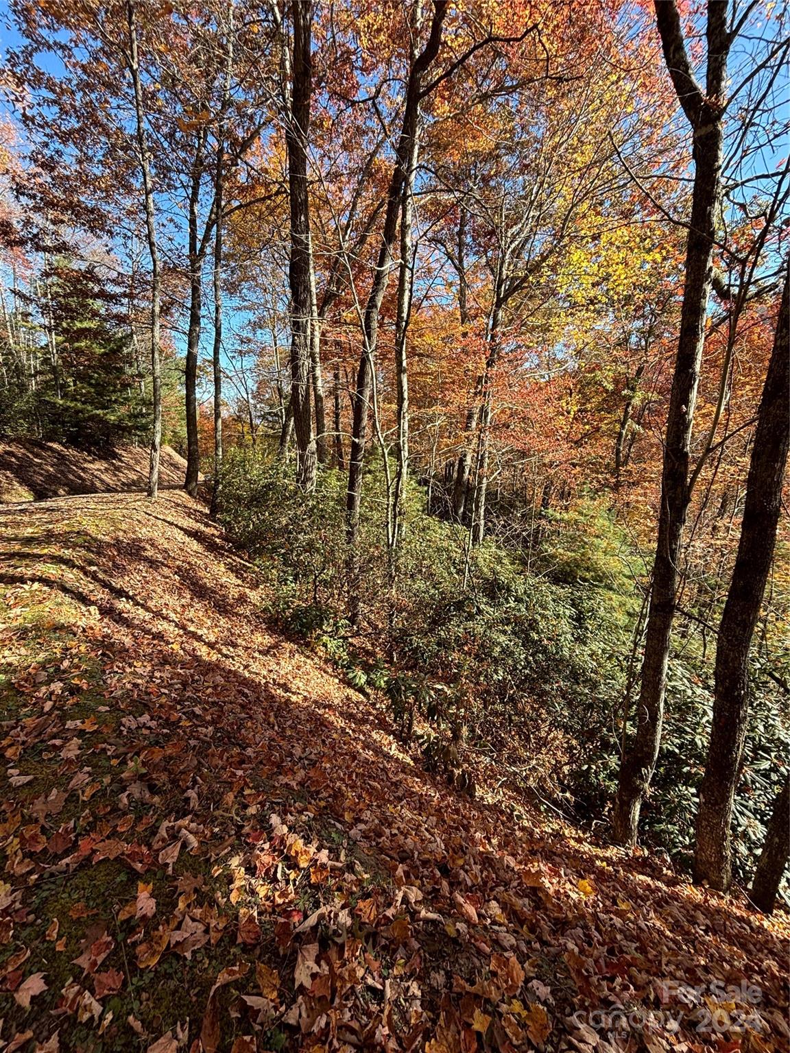 Lot 33 Coppermine Ridge Whittier NC 28789