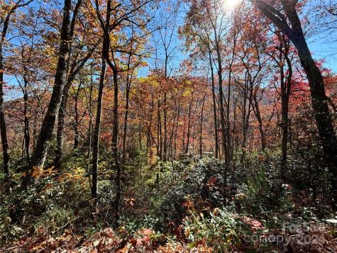 Lot 33 Coppermine Ridge Whittier NC 28789