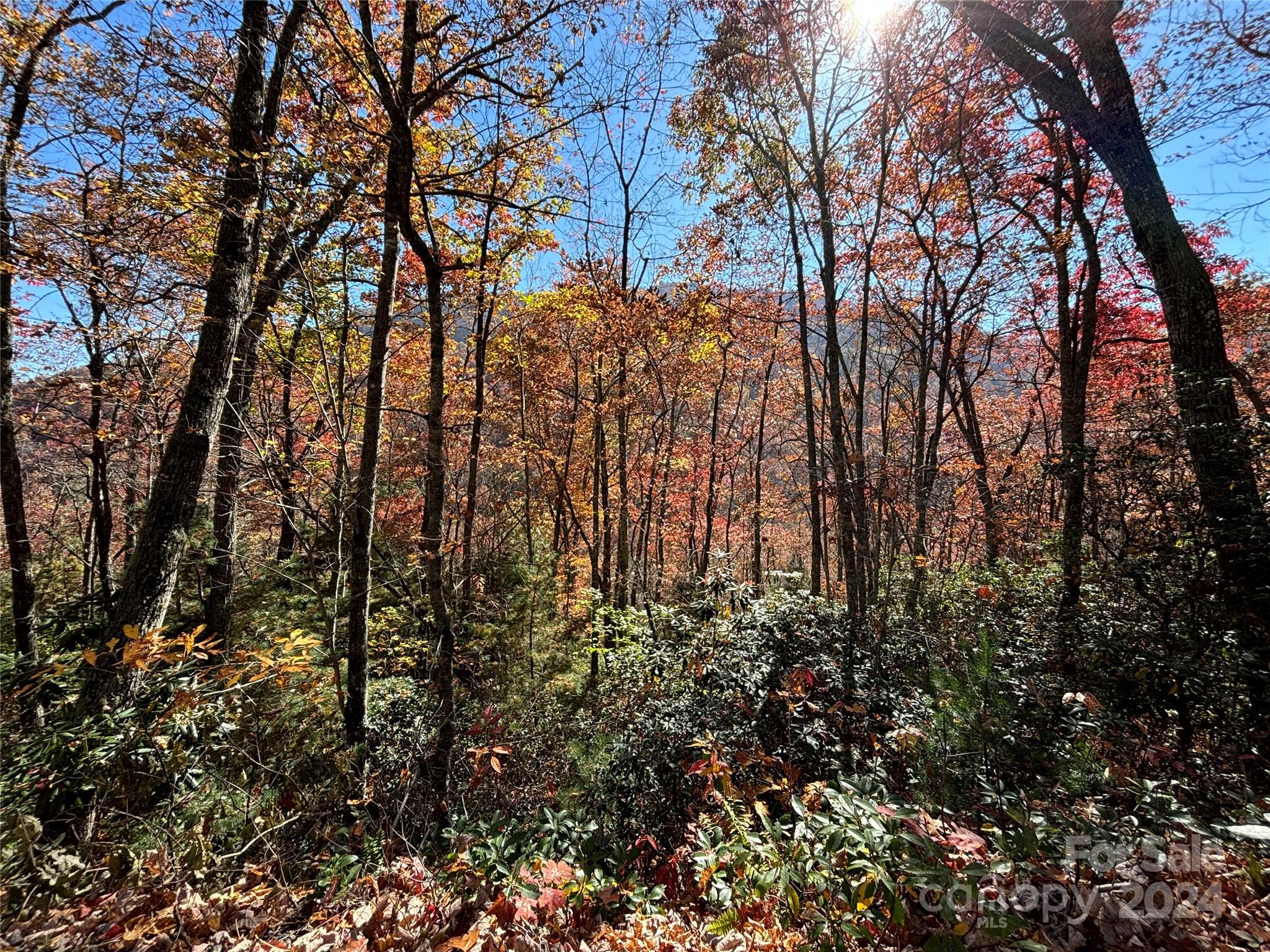 Lot 33 Coppermine Ridge Whittier NC 28789