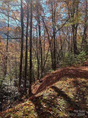Lot 33 Coppermine Ridge Whittier NC 28789
