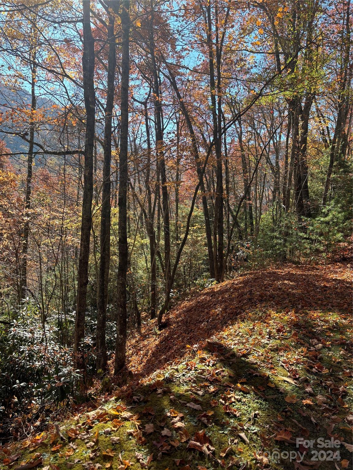 Lot 33 Coppermine Ridge Whittier NC 28789