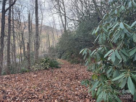 2664 Nc Highway 9 Highway Black Mountain NC 28711