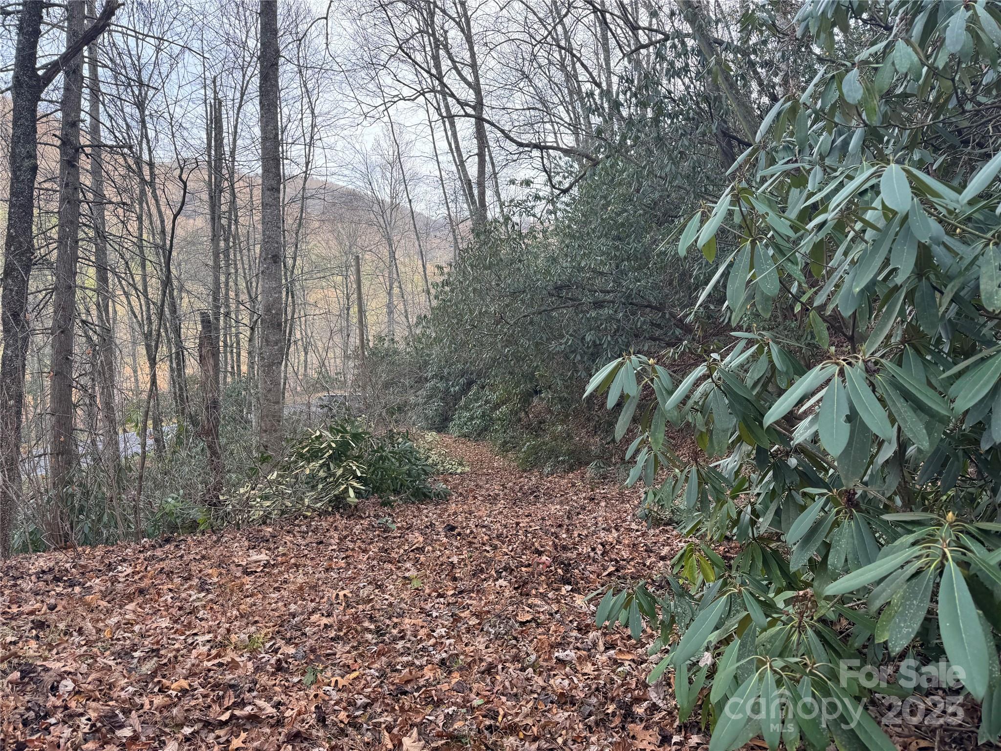 2664 Nc Highway 9 Highway Black Mountain NC 28711