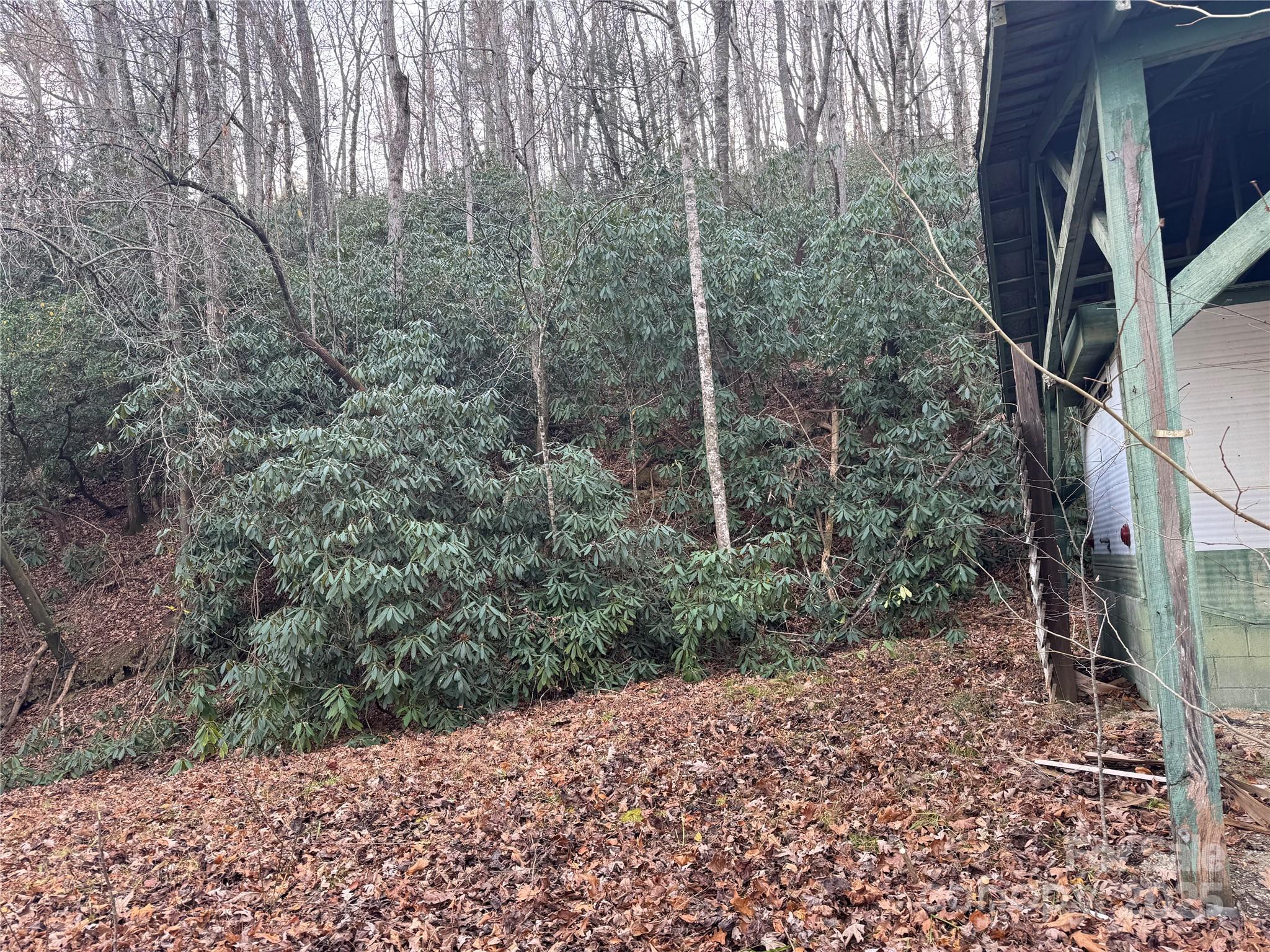 2664 Nc Highway 9 Highway Black Mountain NC 28711