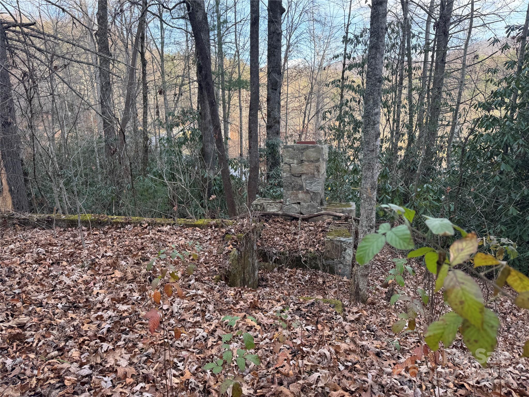 2664 Nc Highway 9 Highway Black Mountain NC 28711