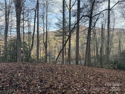 2664 Nc Highway 9 Highway Black Mountain NC 28711